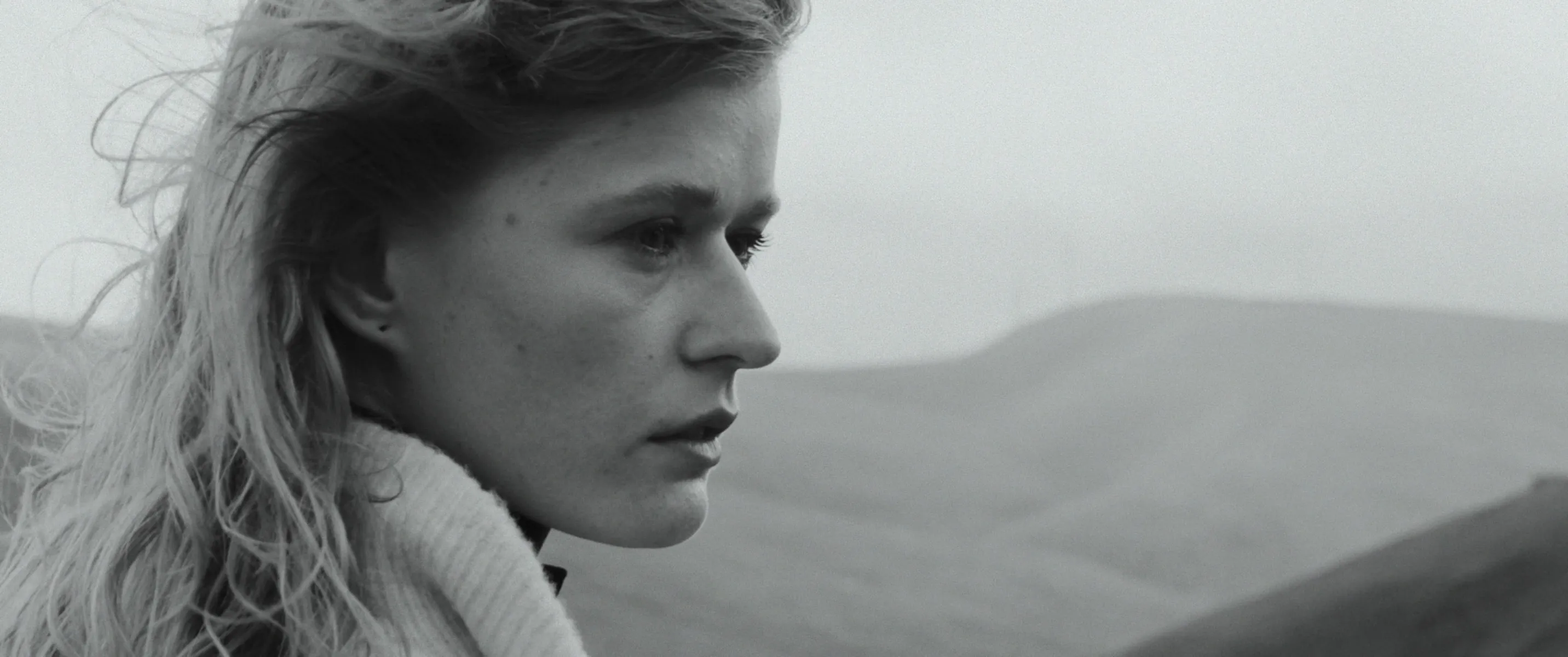 The Mist Still 3